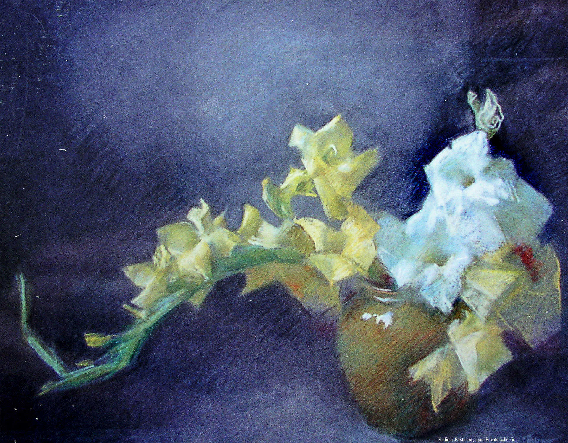 Gladiola. Pastel on paper. Private collection.