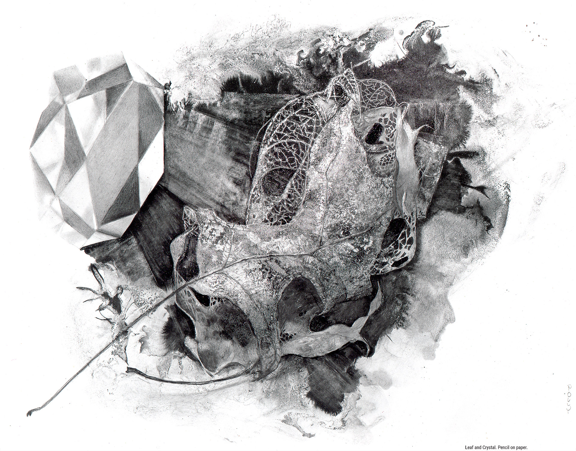 Leaf and Crystal. Pencil on paper.